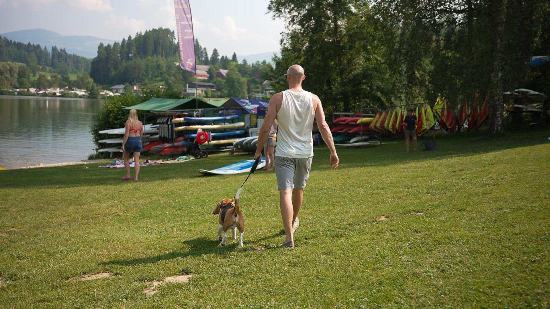 Feriendorf Am Maltschacher See Feldkirchen in Kärnten Eksteriør bilde